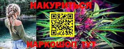 шишки Дубна