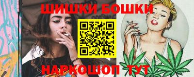 шишки Дубна