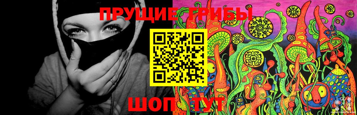 Псилоцибиновые грибы Psilocybine cubensis Михайловск