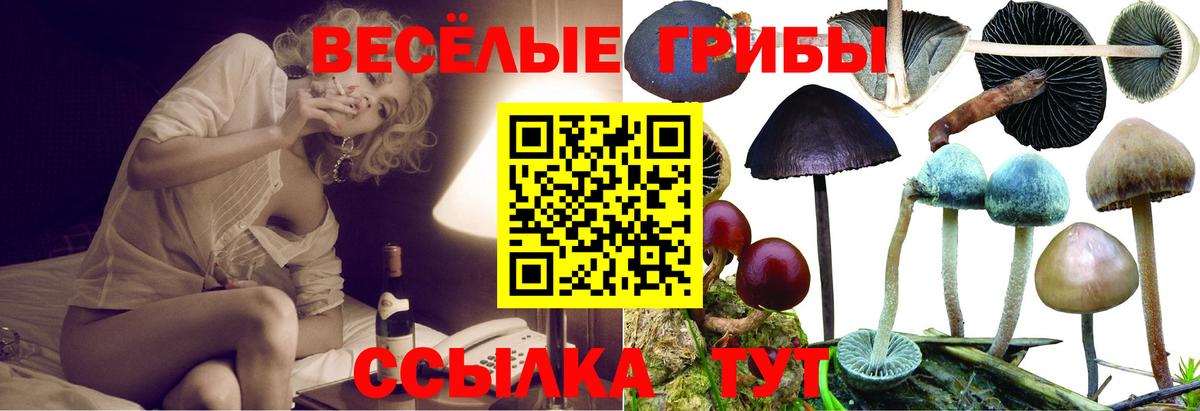 Галлюциногенные грибы MAGIC MUSHROOMS  Галлюциногенные грибы мицелий  Вход с VPN  Михайловск 
